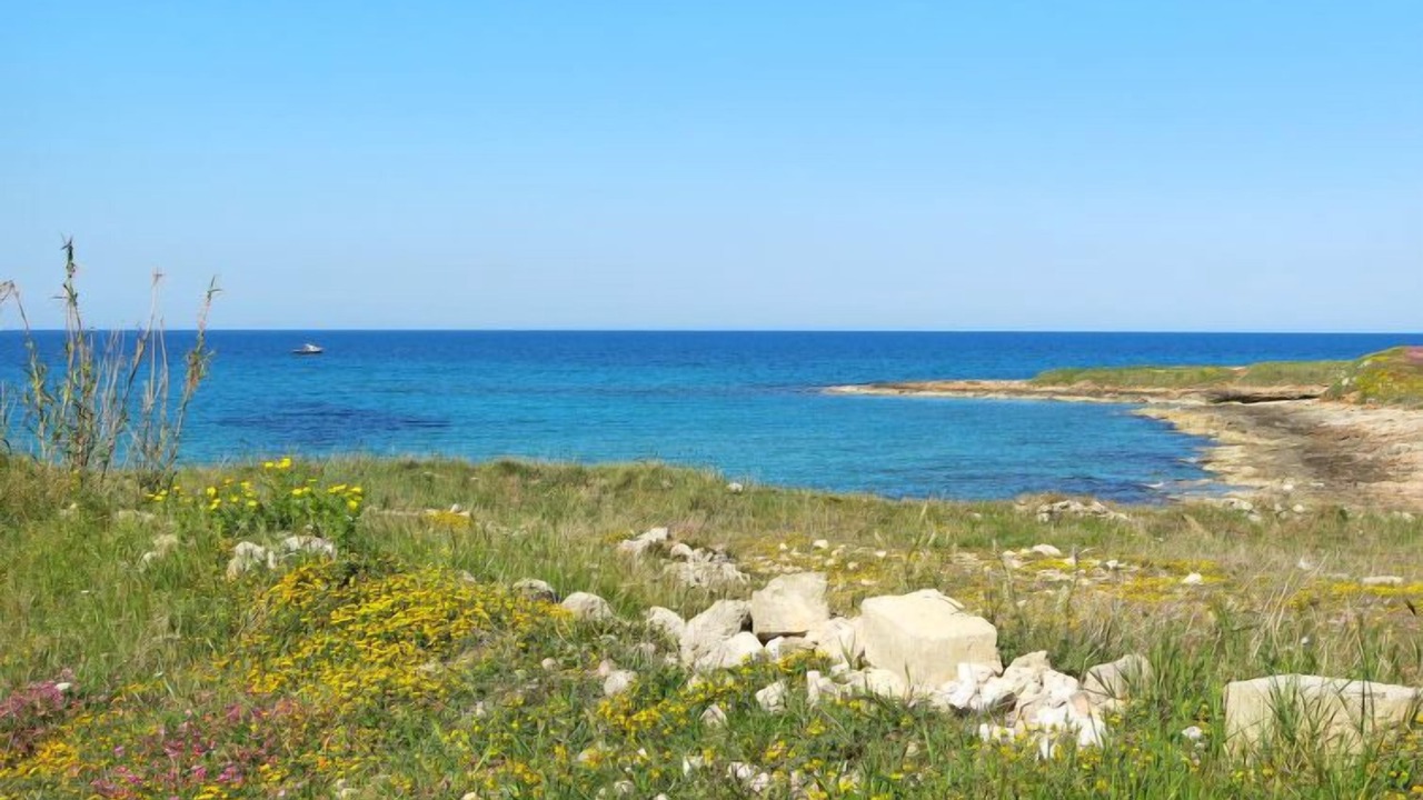 Photo of Outdoor in Ceglie Messapica