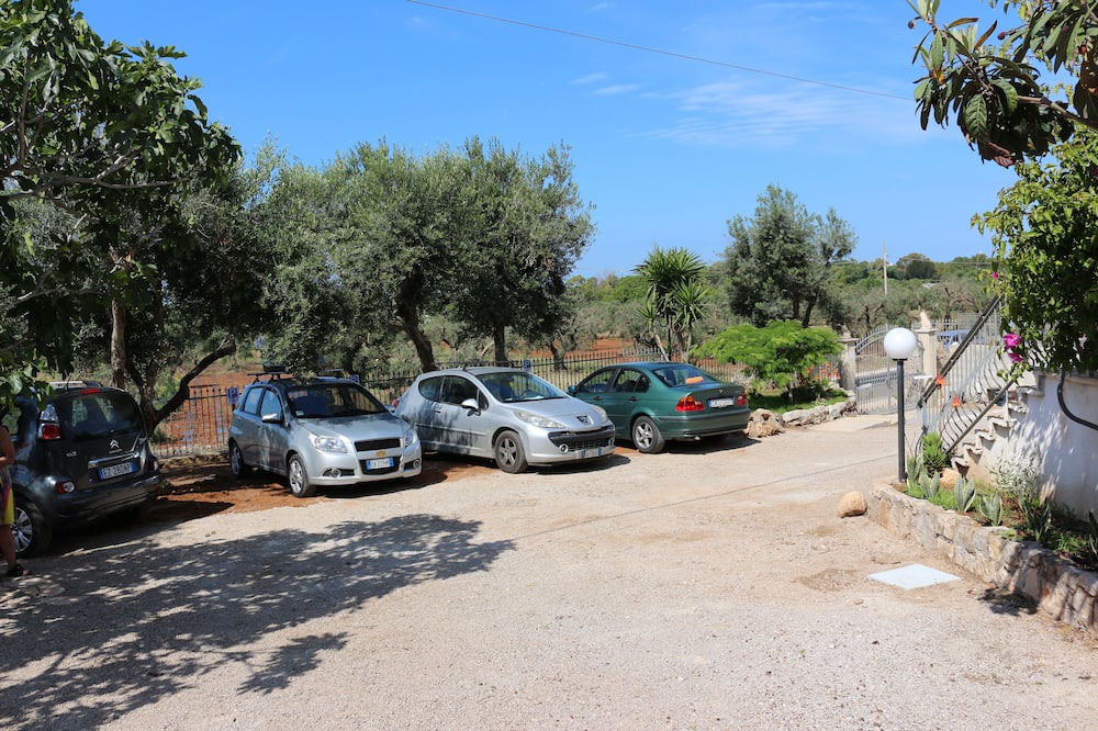 Photo of Others in Fontanelle