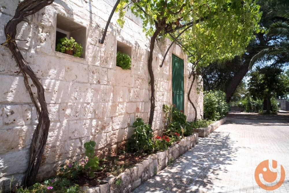Photo of Outdoor in Fumarola