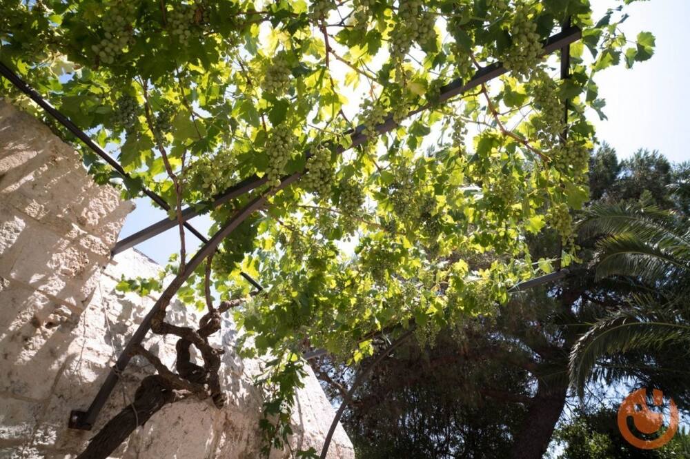 Photo of Outdoor in Fumarola