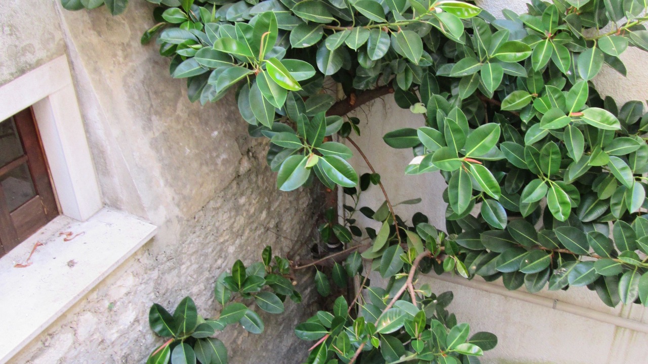 Photo of Others in Rodi Garganico