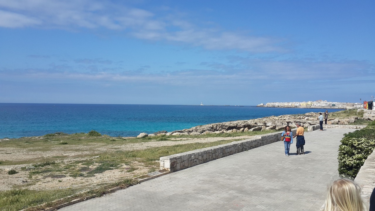 Photo of Others in Gallipoli