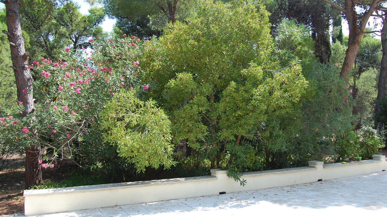 Photo of Outdoor in Santa Caterina