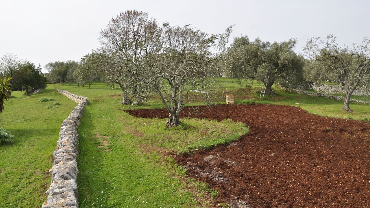 Photo of Outdoor in Specchiaruzzo