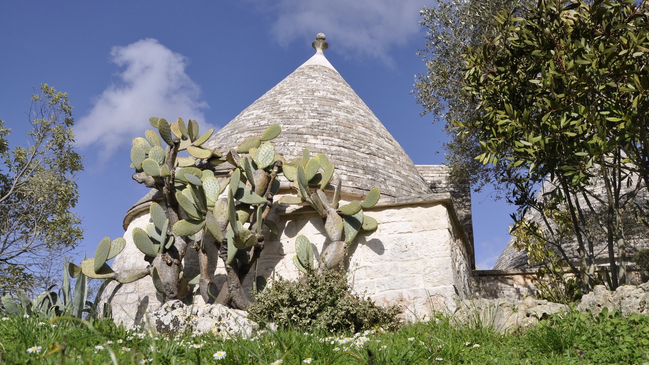 Photo of Outdoor in Specchiaruzzo