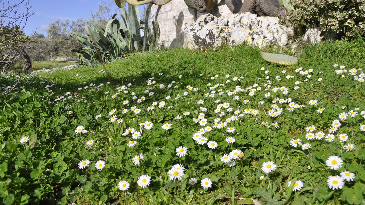 Photo of Outdoor in Specchiaruzzo