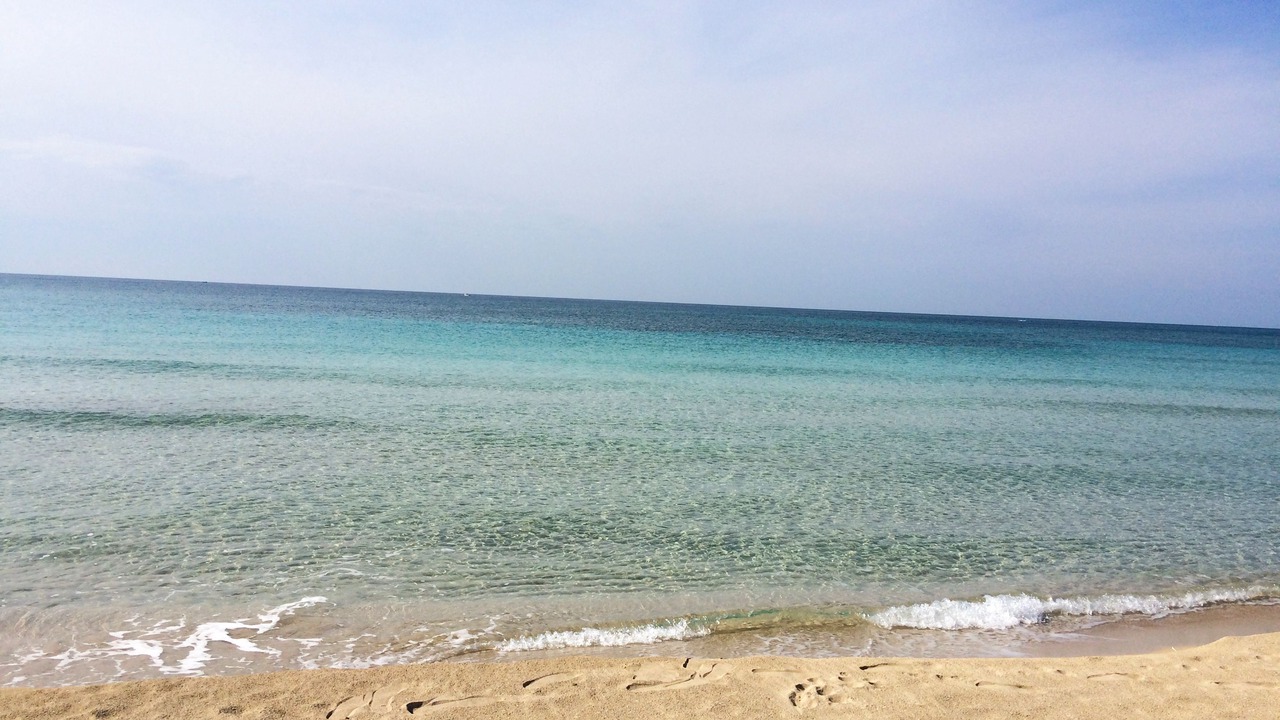 Photo of Others in Lido Marini