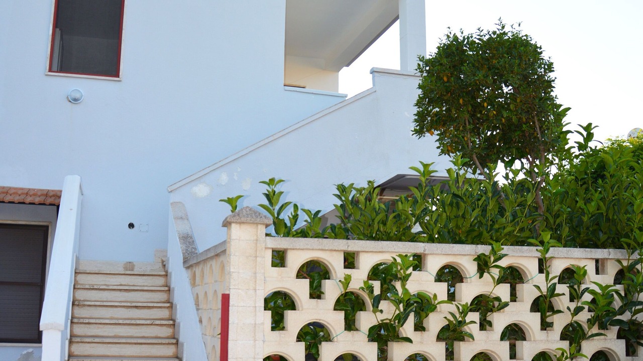 Photo of Outdoor in Lido Marini