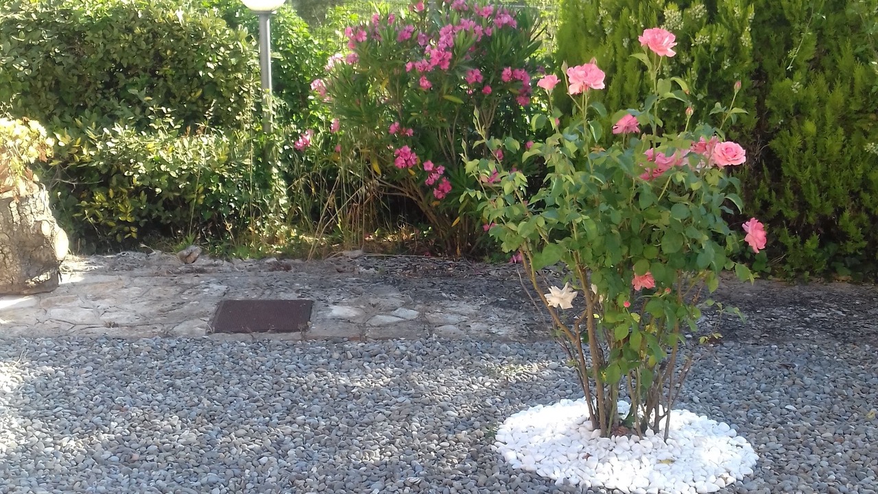 Photo of Outdoor in Putignano