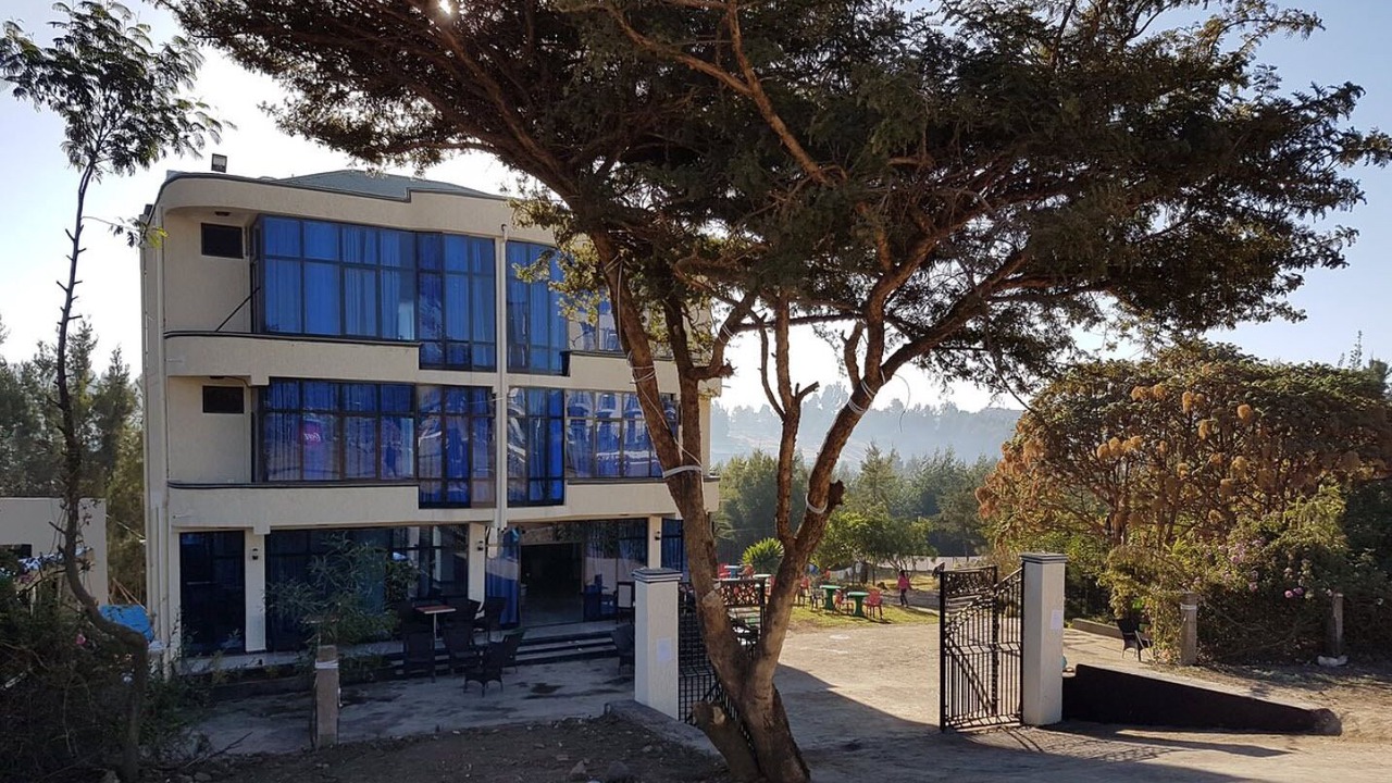 Photo of Outdoor in Debark