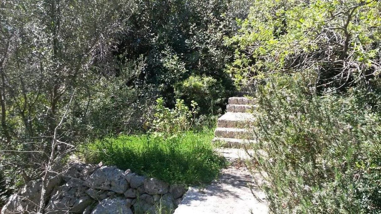 Photo of Outdoor in Castro Marina