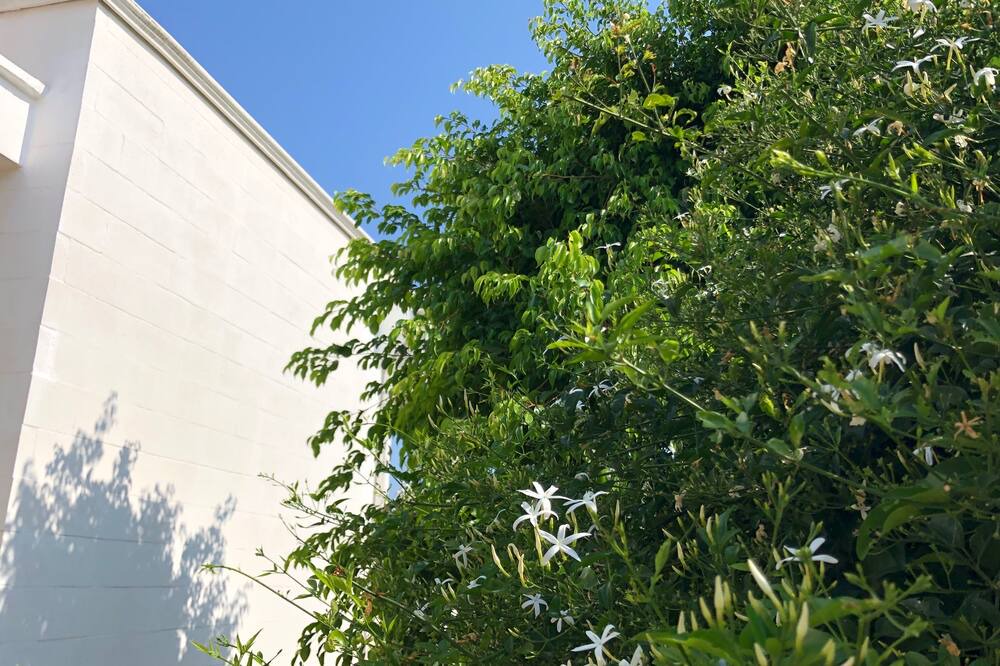 Photo of Outdoor in Pantanagianni-pezze Morelli