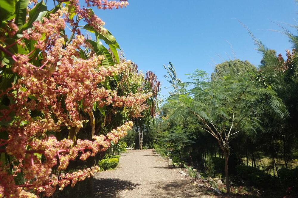 Photo of Outdoor in Bahir Dar