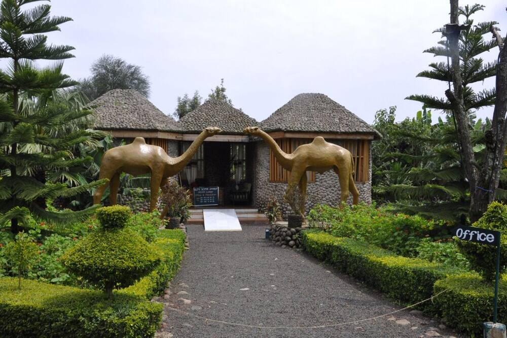 Photo of Outdoor in Bahir Dar
