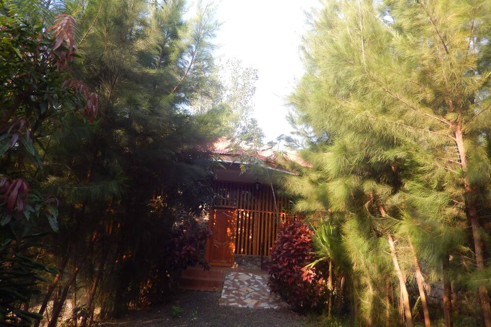 Photo of Outdoor in Bahir Dar