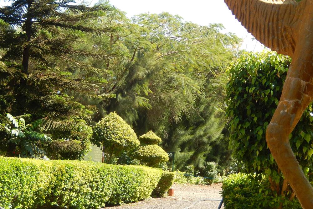 Photo of Outdoor in Bahir Dar