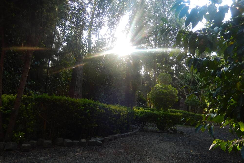 Photo of Outdoor in Bahir Dar