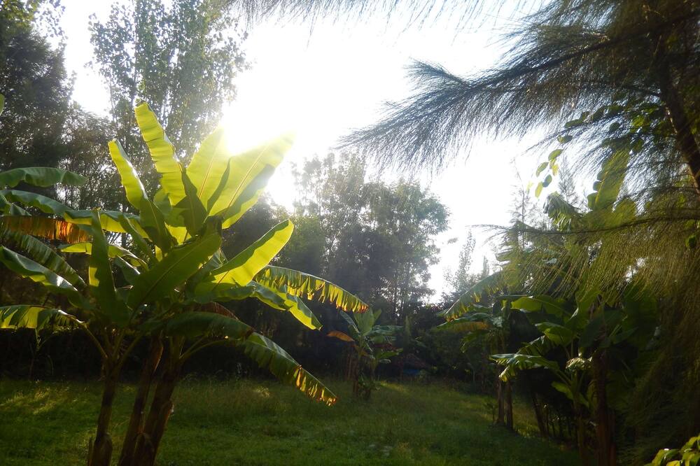 Photo of Outdoor in Bahir Dar