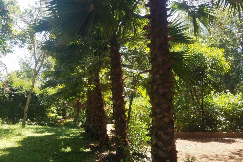 Photo of Outdoor in Bahir Dar