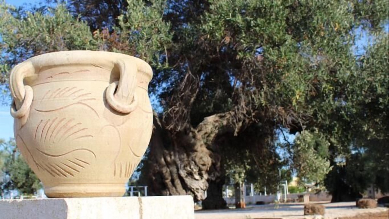 Photo of Outdoor in Fasano