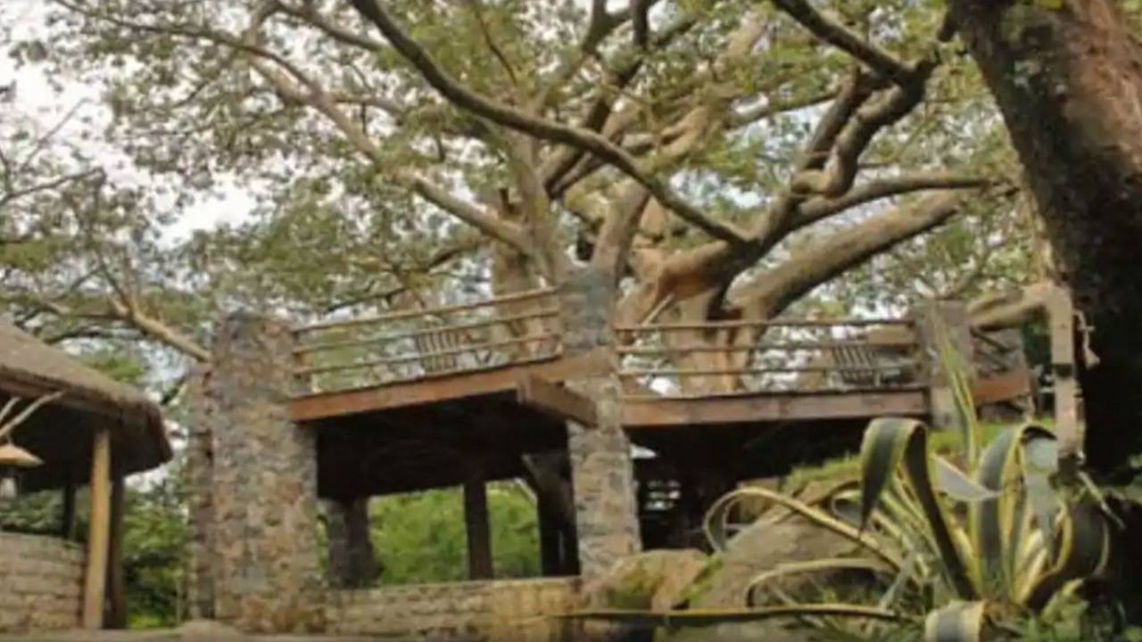 Photo of Outdoor in Giyon
