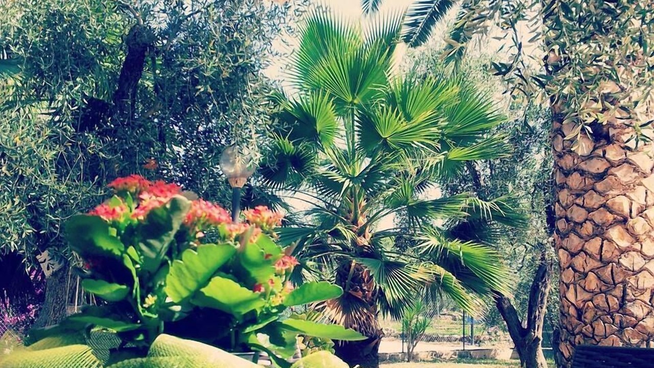 Photo of Outdoor in Defensola