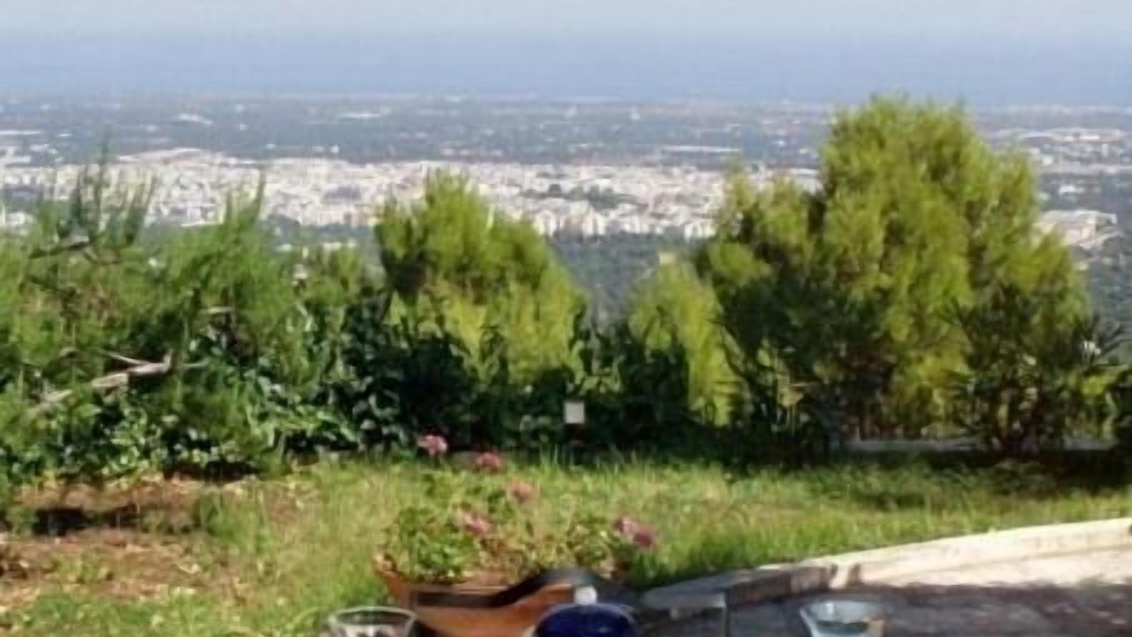 Photo of Others in Fasano