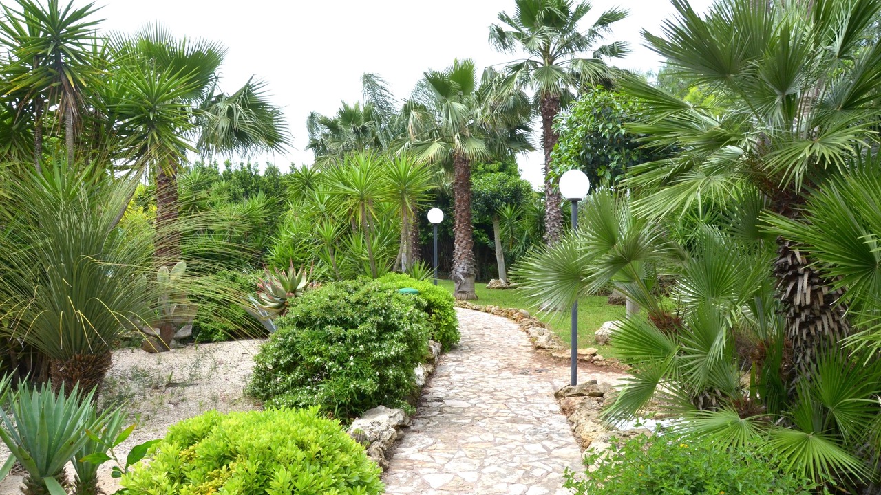 Photo of Outdoor in Torchiarolo