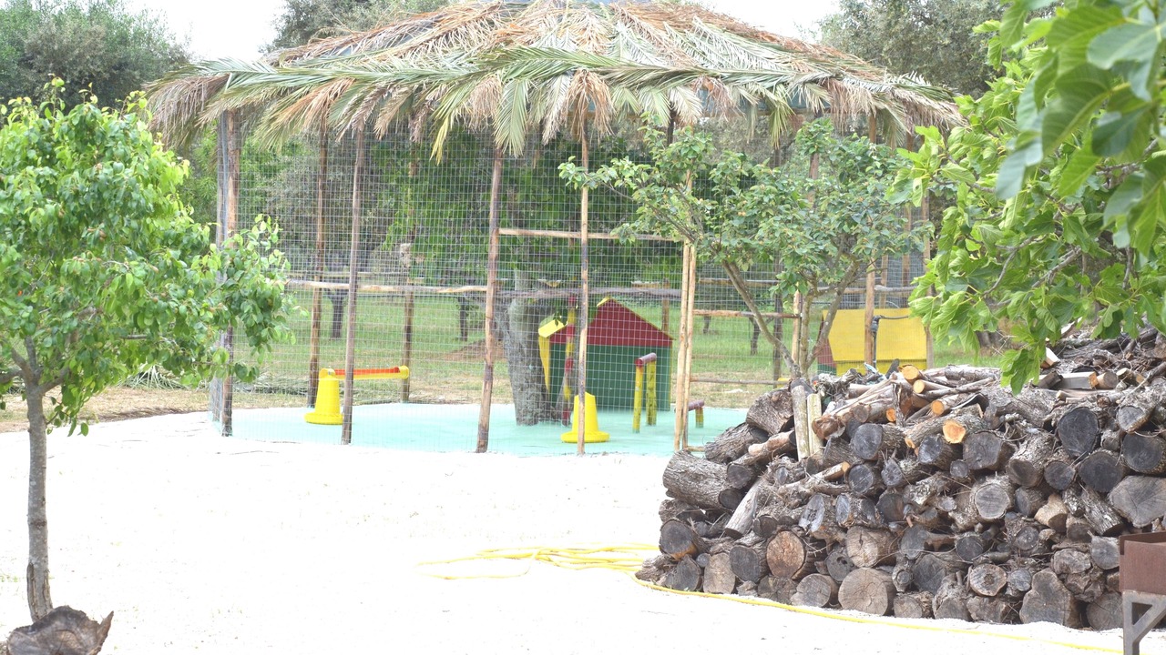 Photo of Outdoor in Torchiarolo