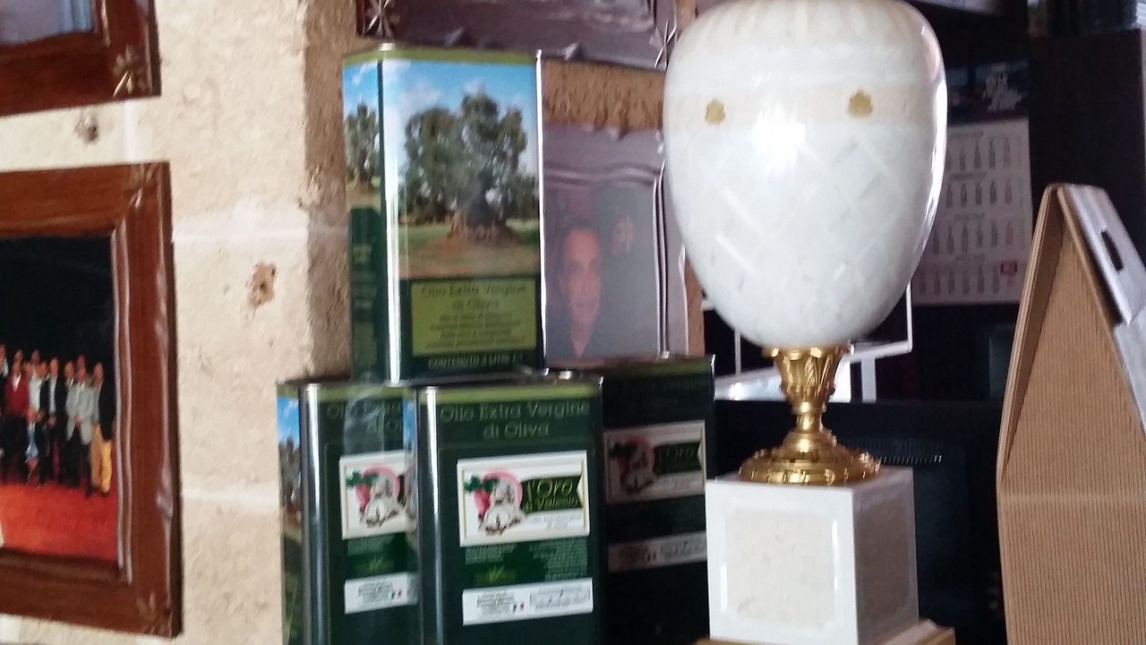 Photo of Others in Torchiarolo
