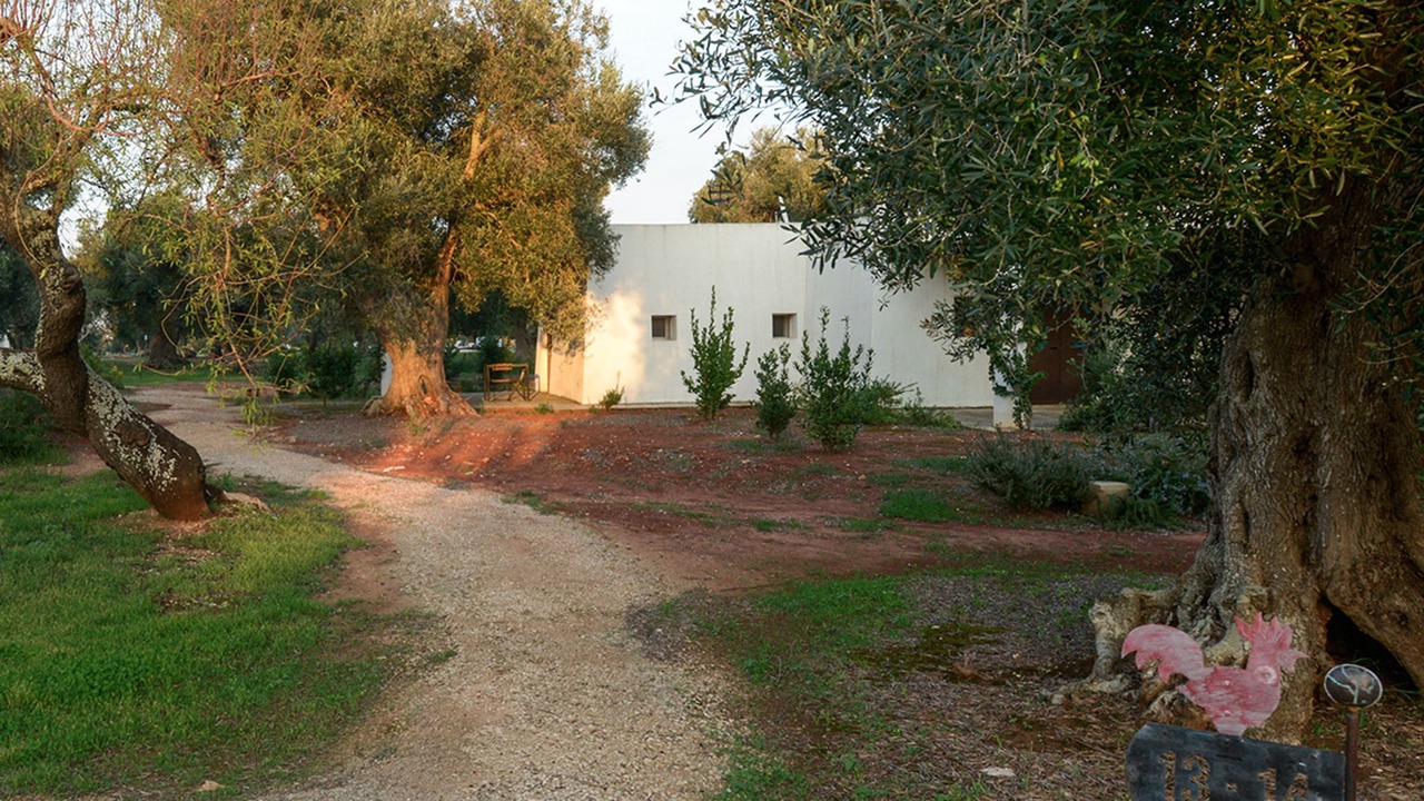 Photo of Outdoor in Specchia
