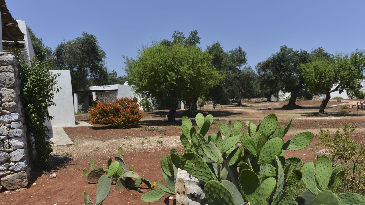 Photo of Outdoor in Specchia