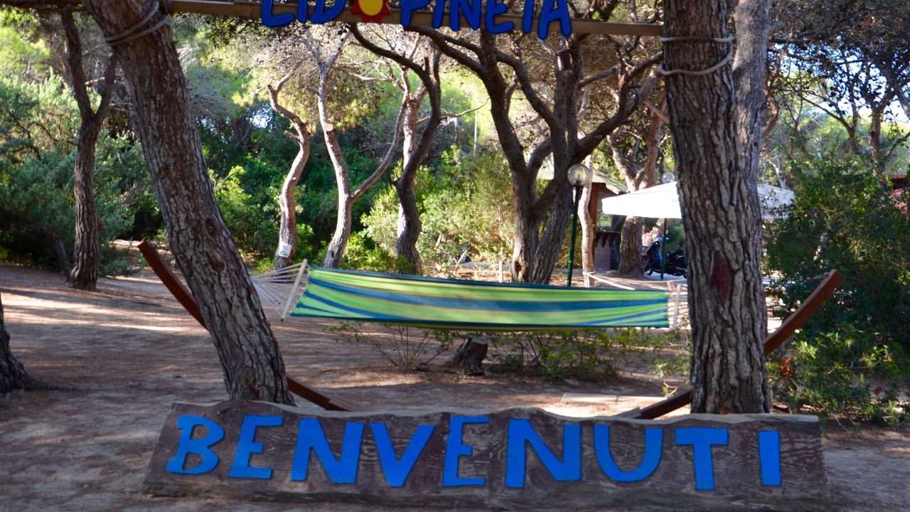 Photo of Outdoor in Torre San Giovanni