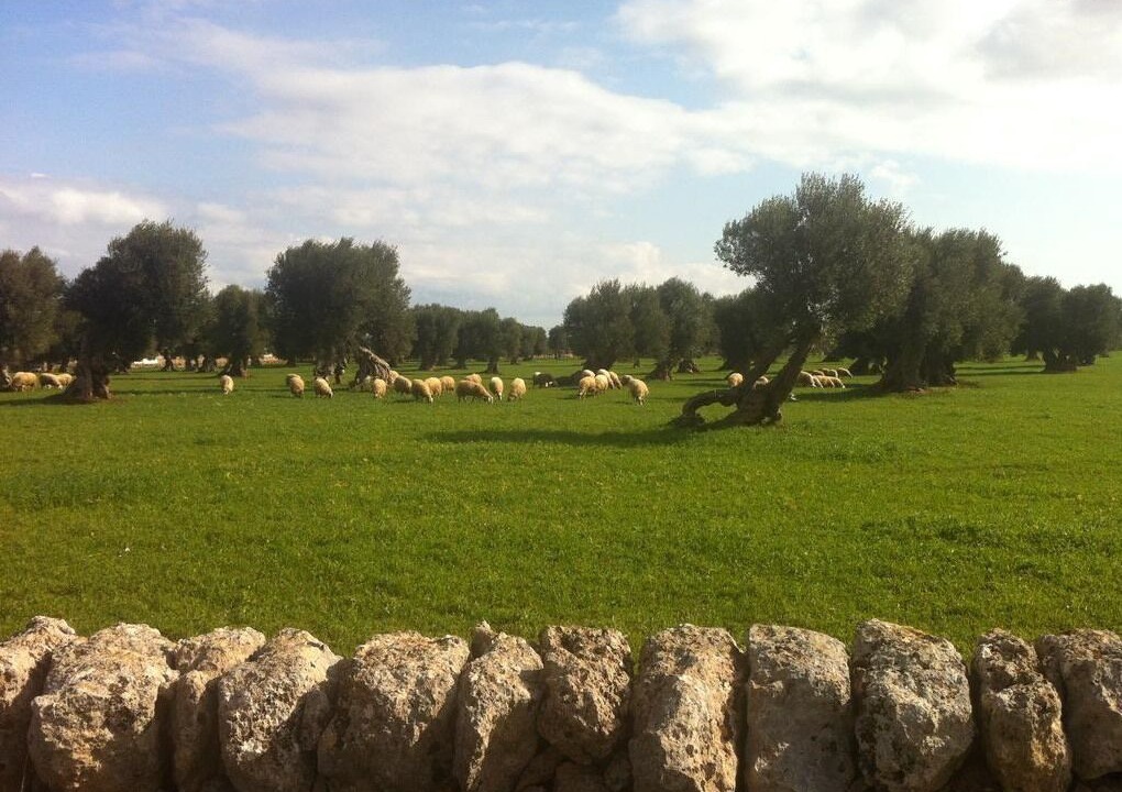 Photo of Outdoor in L'Assunta