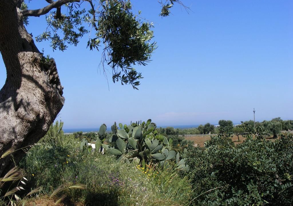 Photo of Outdoor in L'Assunta