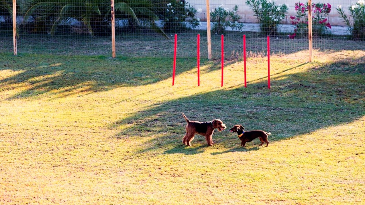 Photo of Outdoor in Ippocampo