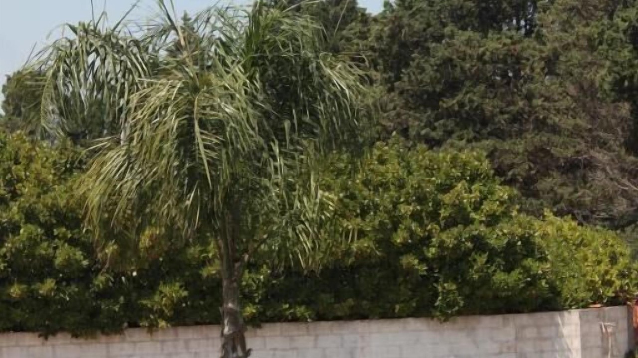 Photo of Outdoor in Otranto