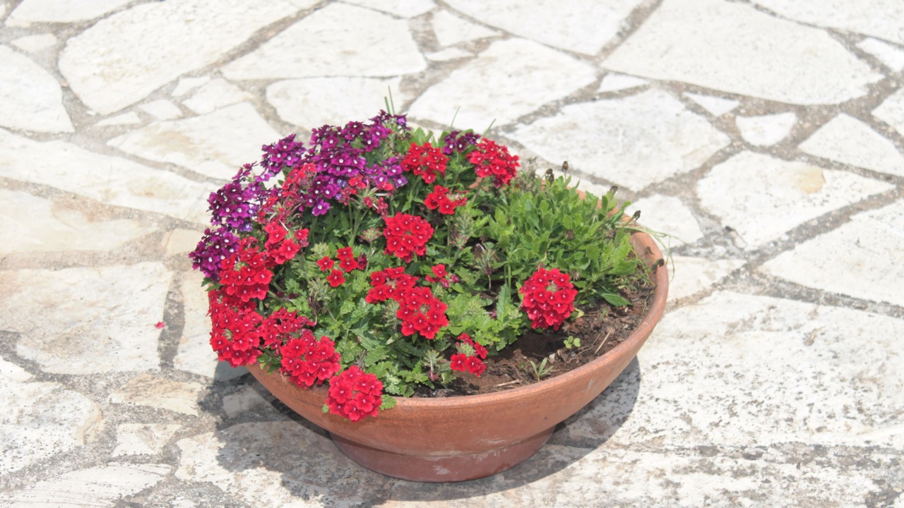 Photo of Outdoor in Otranto