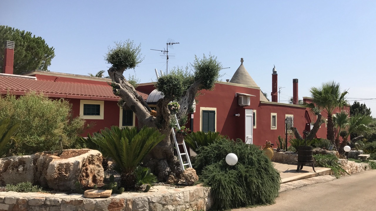 Photo of Outdoor in Impalata