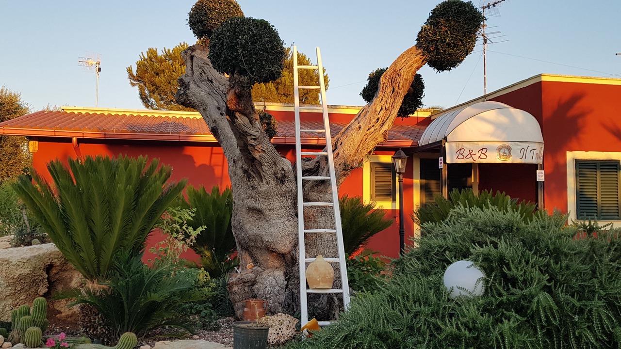Photo of Outdoor in Impalata