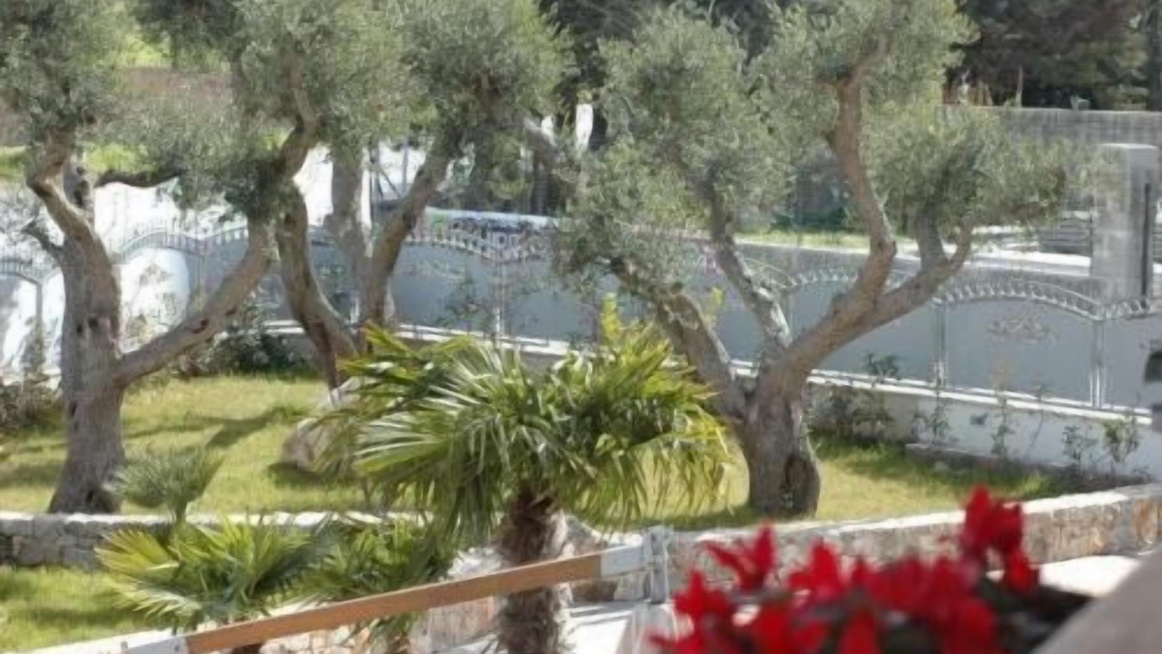 Photo of Outdoor in Poggiardo