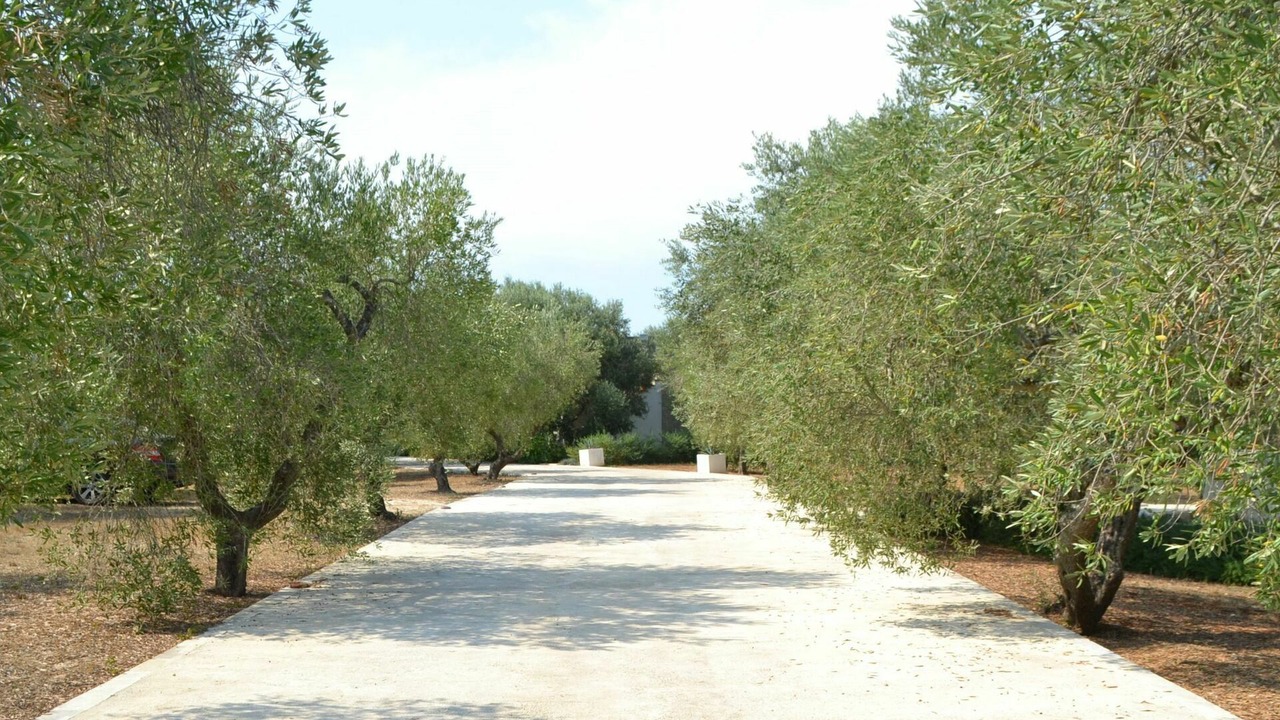 Photo of Outdoor in Poggiardo