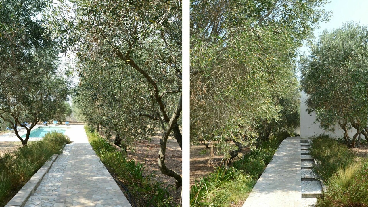 Photo of Outdoor in Poggiardo