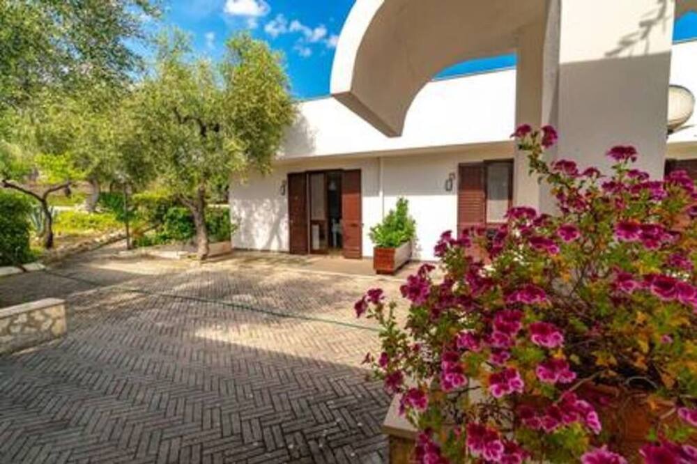 Photo of Outdoor in Mattinata