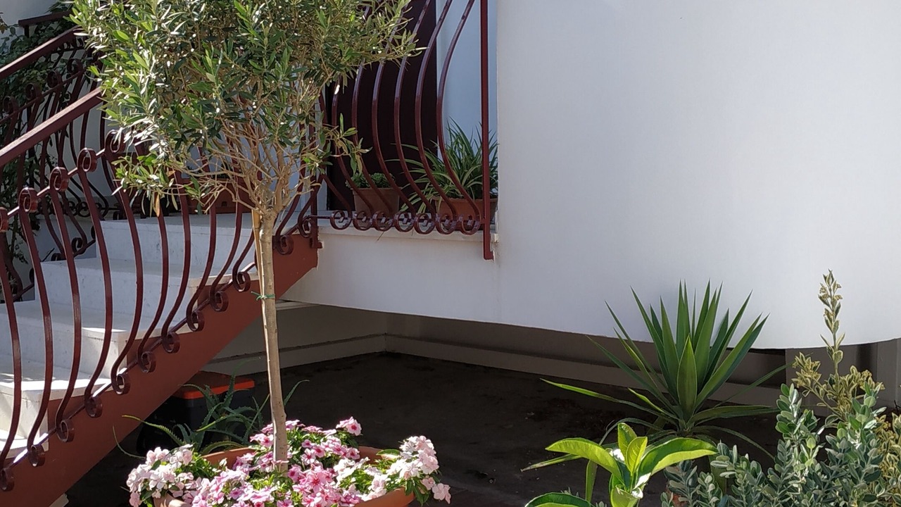 Photo of Outdoor in Capurso