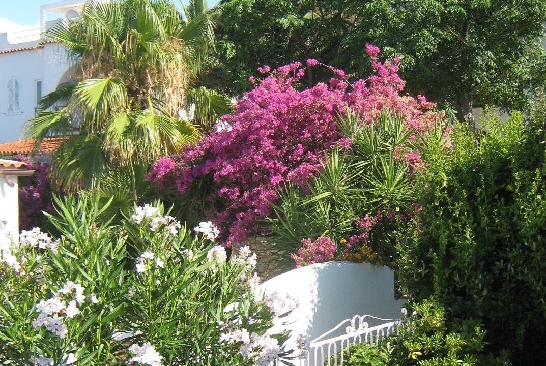 Photo of Outdoor in Peschici