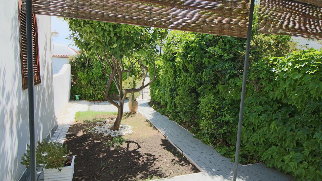 Photo of Outdoor in Peschici