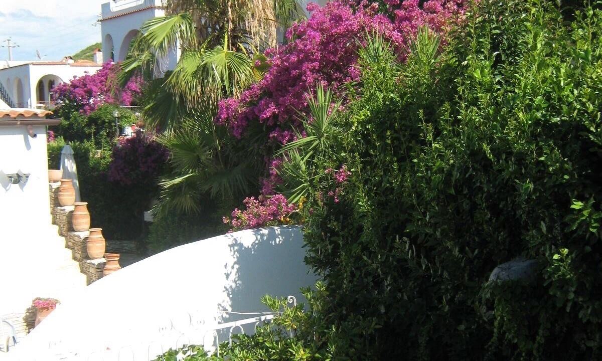 Photo of Outdoor in Peschici