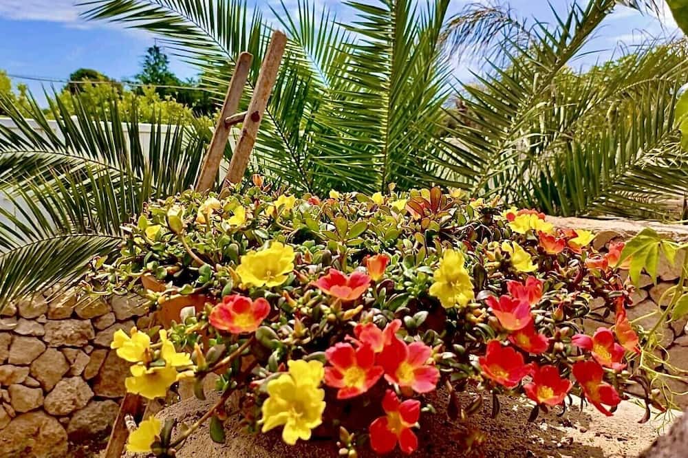 Photo of Outdoor in Campomarino di Maruggio