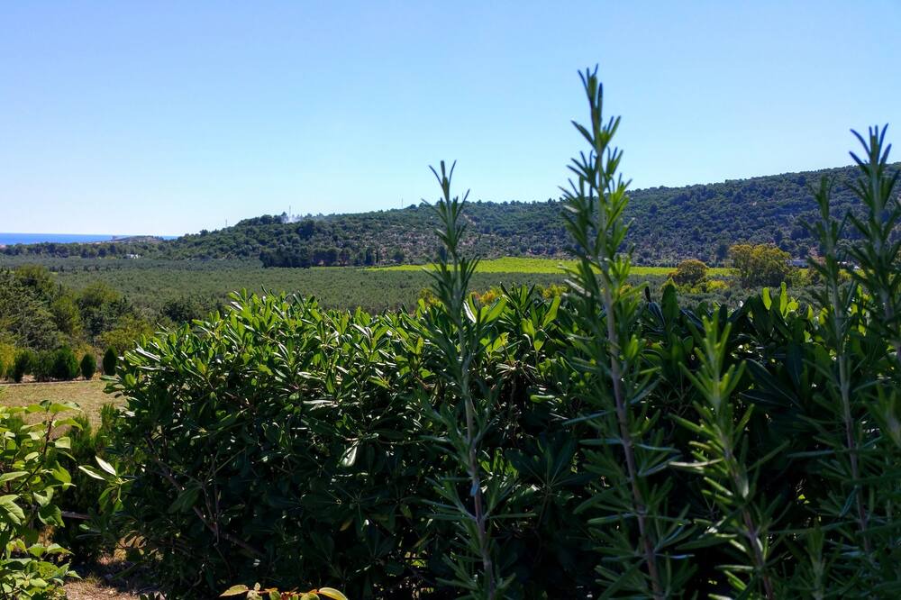 Photo of Outdoor in Montincello